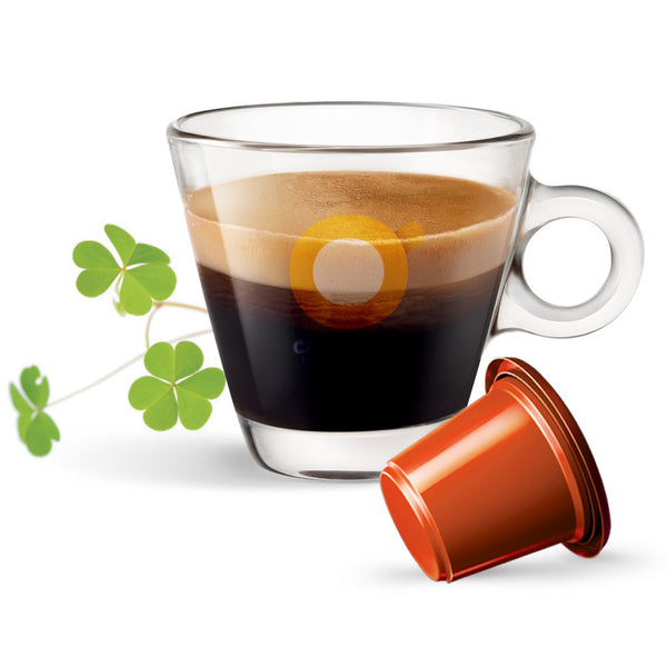 Irish Coffee Caffè Bonini