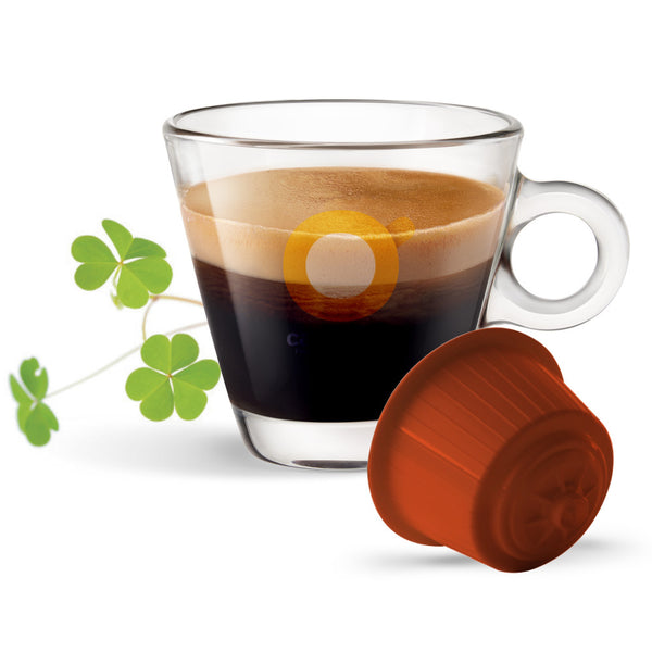 Irish Coffee Caffè Bonini